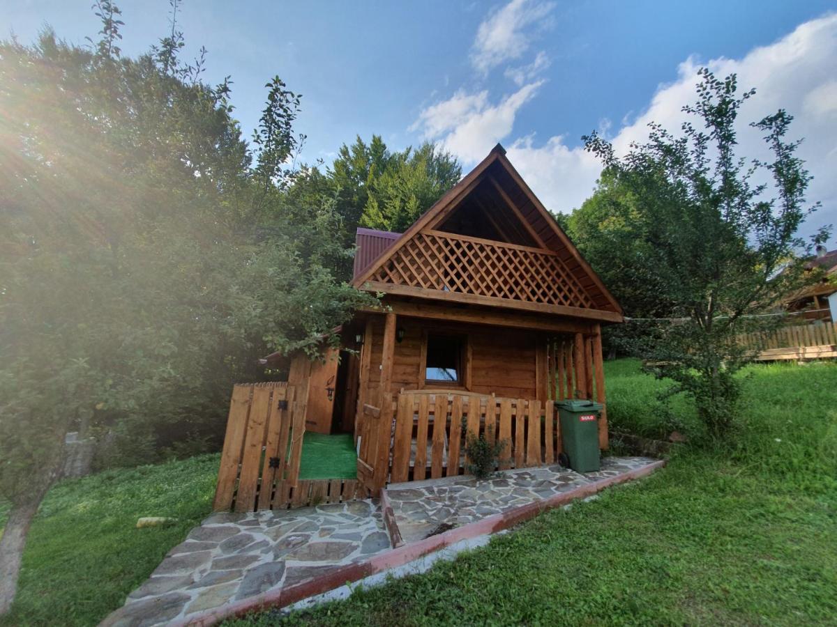 Трембіта Rakhiv Exterior photo